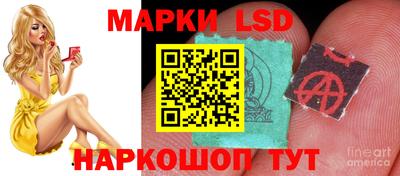 скорость mdpv Донской